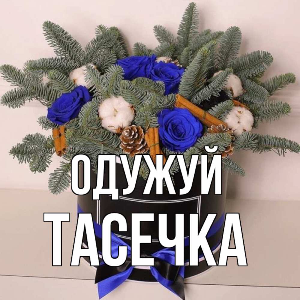 Открытка на каждый день з підписом, Тасечка Одужуй короче кто то загрузил эти шишки Прикольна листівка з побажанням онлайн скачати безкоштовно 