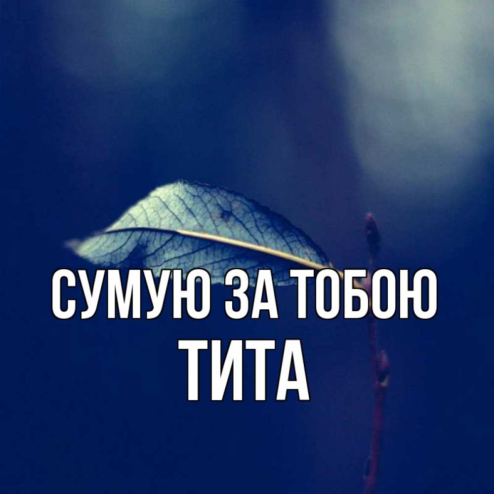 Открытка на каждый день з підписом, Тита Сумую за тобою одна ветка 1 Прикольна листівка з побажанням онлайн скачати безкоштовно 