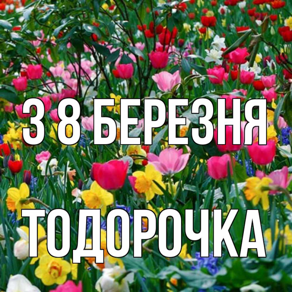 Открытка на каждый день з підписом, Тодорочка З 8 БЕРЕЗНЯ с международным женским днем поздравления для женщины Прикольна листівка з побажанням онлайн скачати безкоштовно 