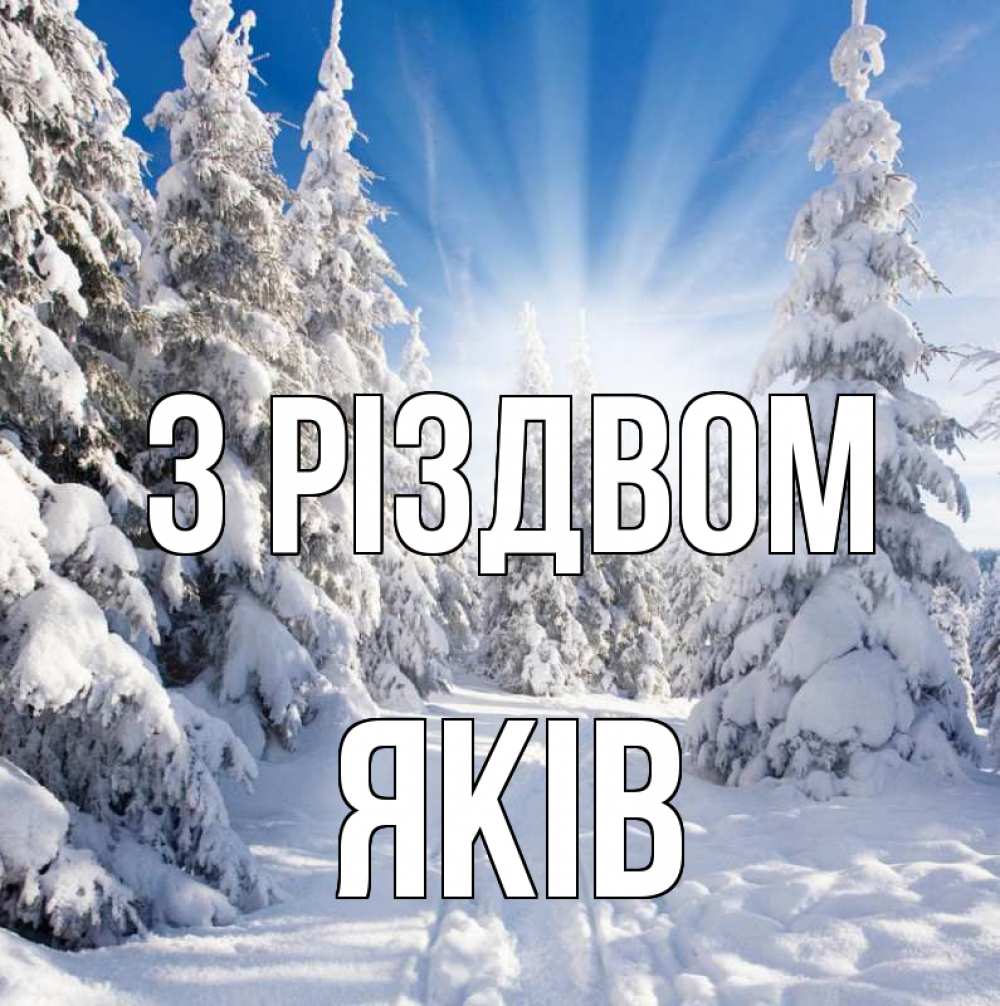 Открытка на каждый день з підписом, Яків З Різдвом зима, лес Прикольна листівка з побажанням онлайн скачати безкоштовно 