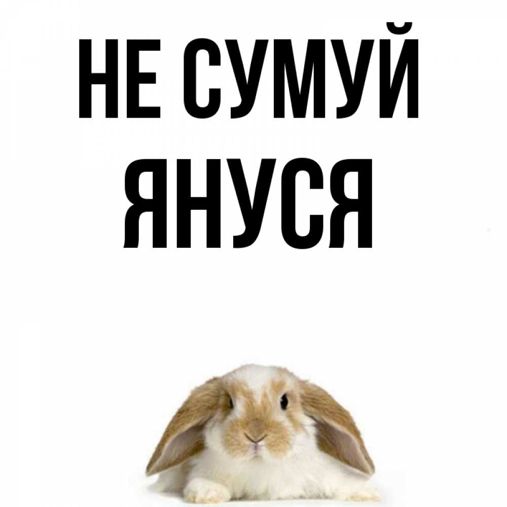 Открытка на каждый день з підписом, Януся Не сумуй коричнево белый заяц с большими ушками Прикольна листівка з побажанням онлайн скачати безкоштовно 
