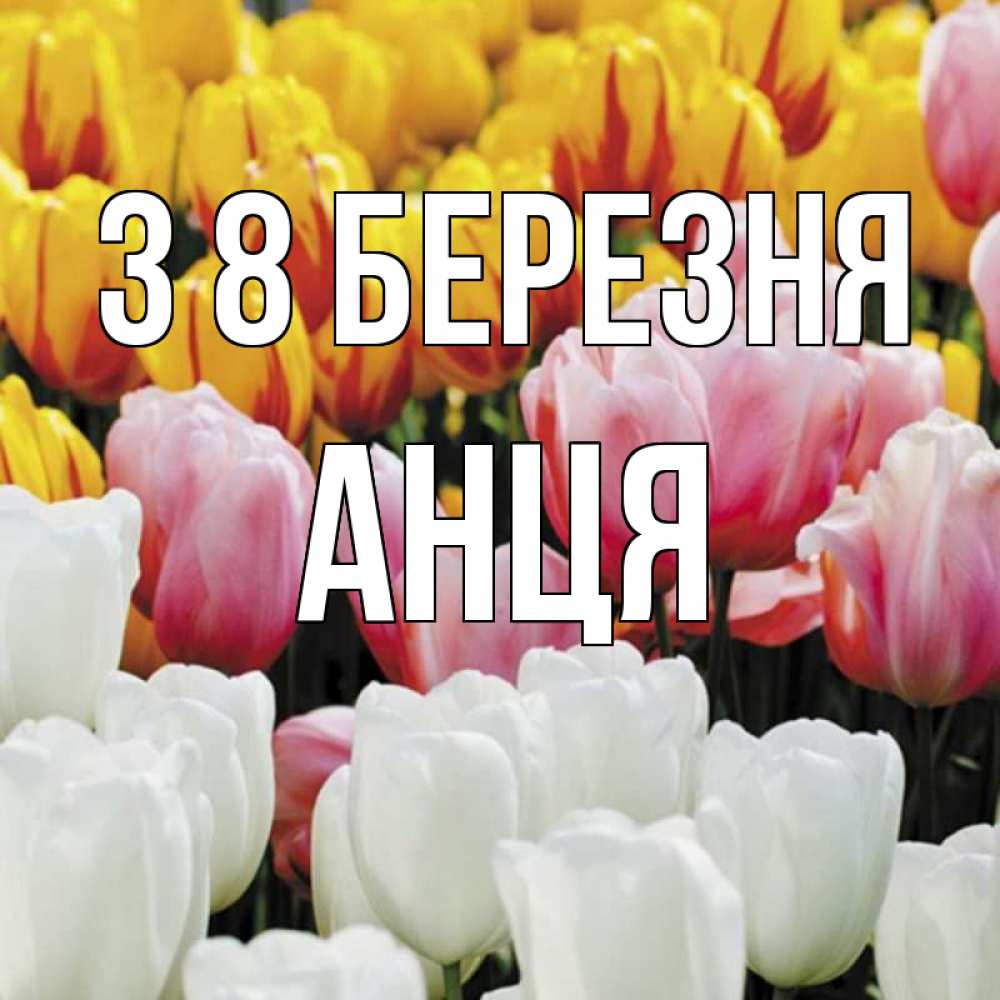 Открытка на каждый день з підписом, Анця З 8 БЕРЕЗНЯ разноцветные цветы Прикольна листівка з побажанням онлайн скачати безкоштовно 