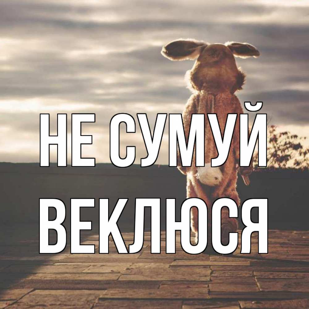 Открытка на каждый день з підписом, Веклюся Не сумуй со спины Прикольна листівка з побажанням онлайн скачати безкоштовно 