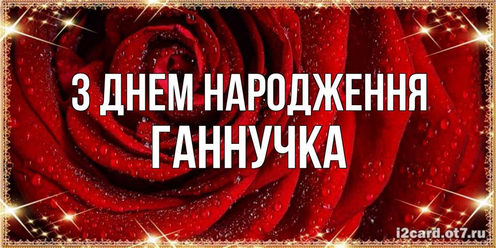 Открытка на каждый день з підписом, Ганнучка З Днем народження роса на розе блестящая в лучах солнца Прикольна листівка з побажанням онлайн скачати безкоштовно 