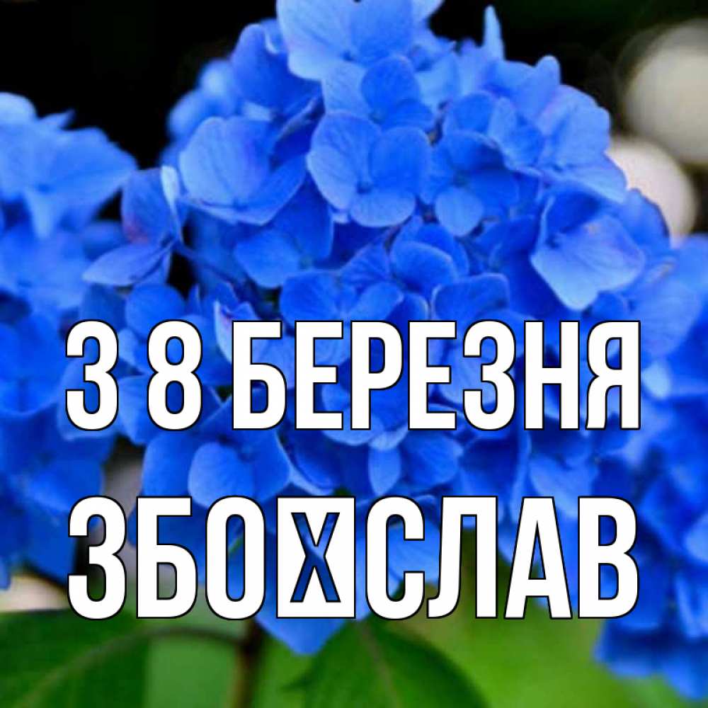 Открытка на каждый день з підписом, Збоїслав З 8 БЕРЕЗНЯ синие цветы Прикольна листівка з побажанням онлайн скачати безкоштовно 