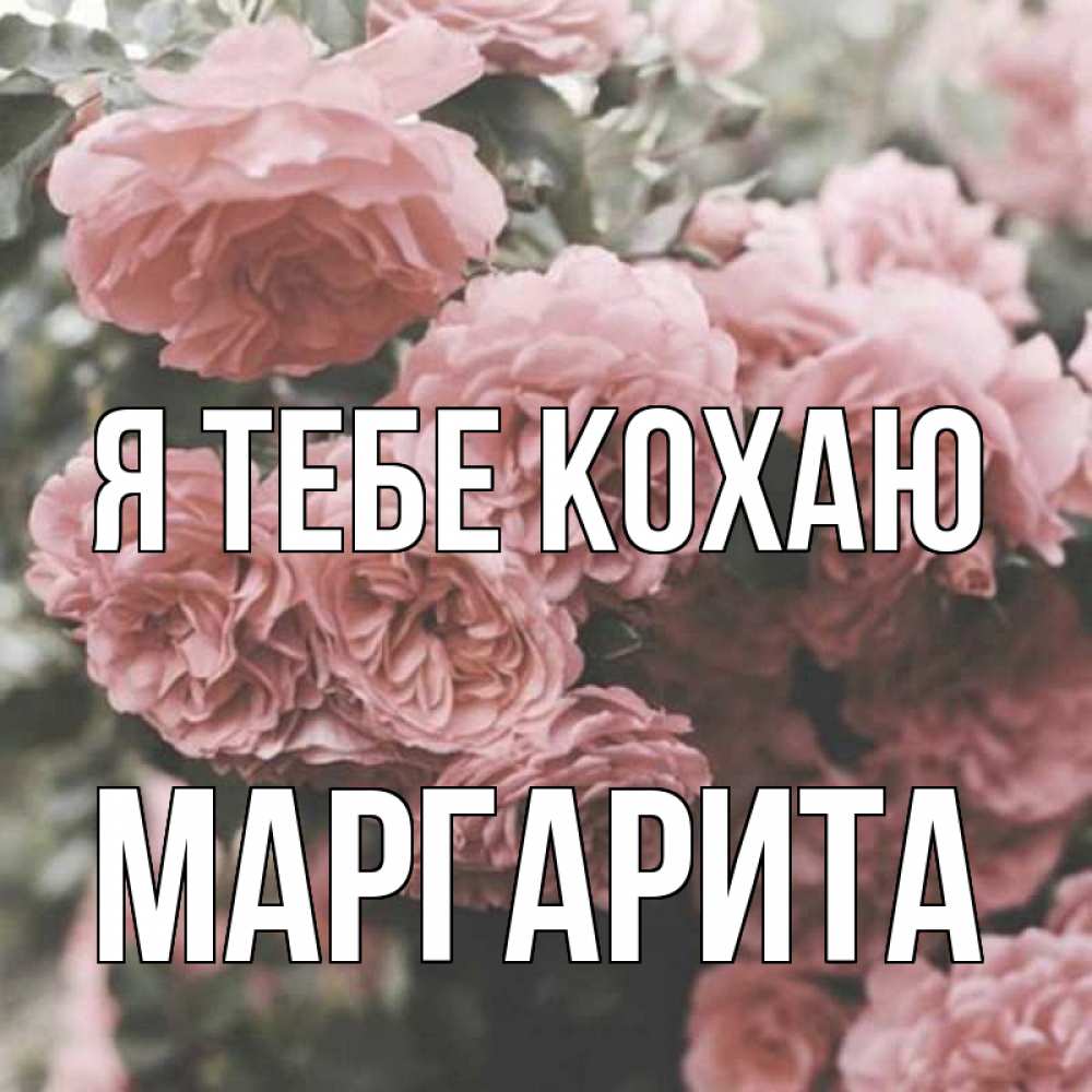 Открытка на каждый день з підписом, Маргарита Я тебе кохаю розы 3 Прикольна листівка з побажанням онлайн скачати безкоштовно 