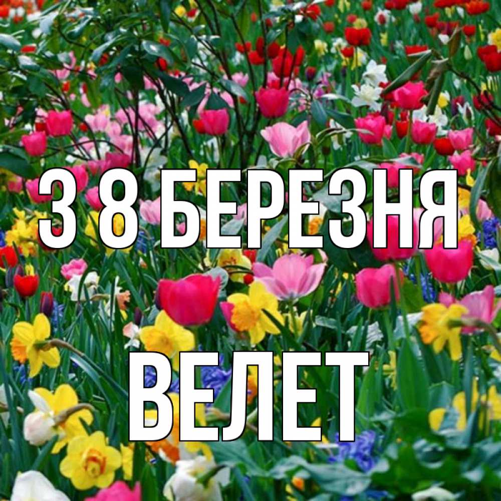 Открытка на каждый день з підписом, Велет З 8 БЕРЕЗНЯ с международным женским днем поздравления для женщины Прикольна листівка з побажанням онлайн скачати безкоштовно 