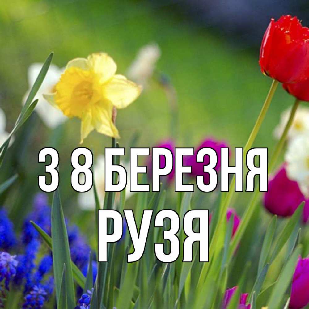 Открытка на каждый день з підписом, Рузя З 8 БЕРЕЗНЯ международный женский день 3 Прикольна листівка з побажанням онлайн скачати безкоштовно 