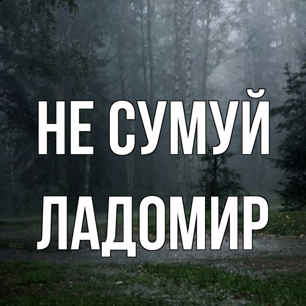 Открытка на каждый день з підписом, Ладомир Не сумуй осень Прикольна листівка з побажанням онлайн скачати безкоштовно 