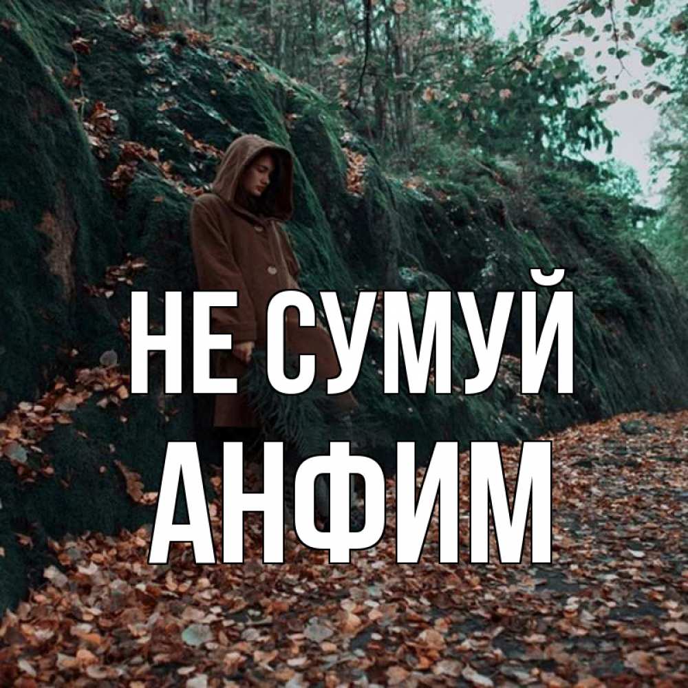 Открытка на каждый день з підписом, Анфим Не сумуй осенний лес Прикольна листівка з побажанням онлайн скачати безкоштовно 