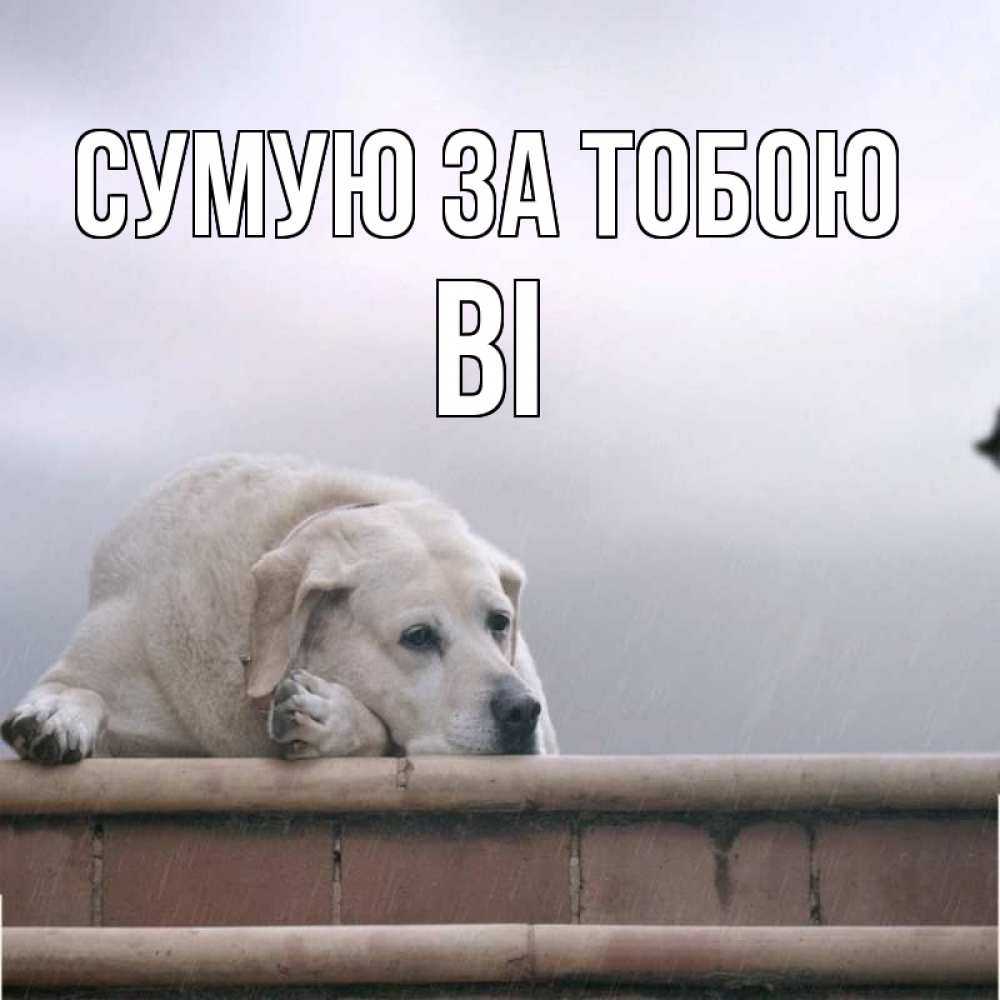 Открытка на каждый день з підписом, Ві Сумую за тобою ждет Прикольна листівка з побажанням онлайн скачати безкоштовно 