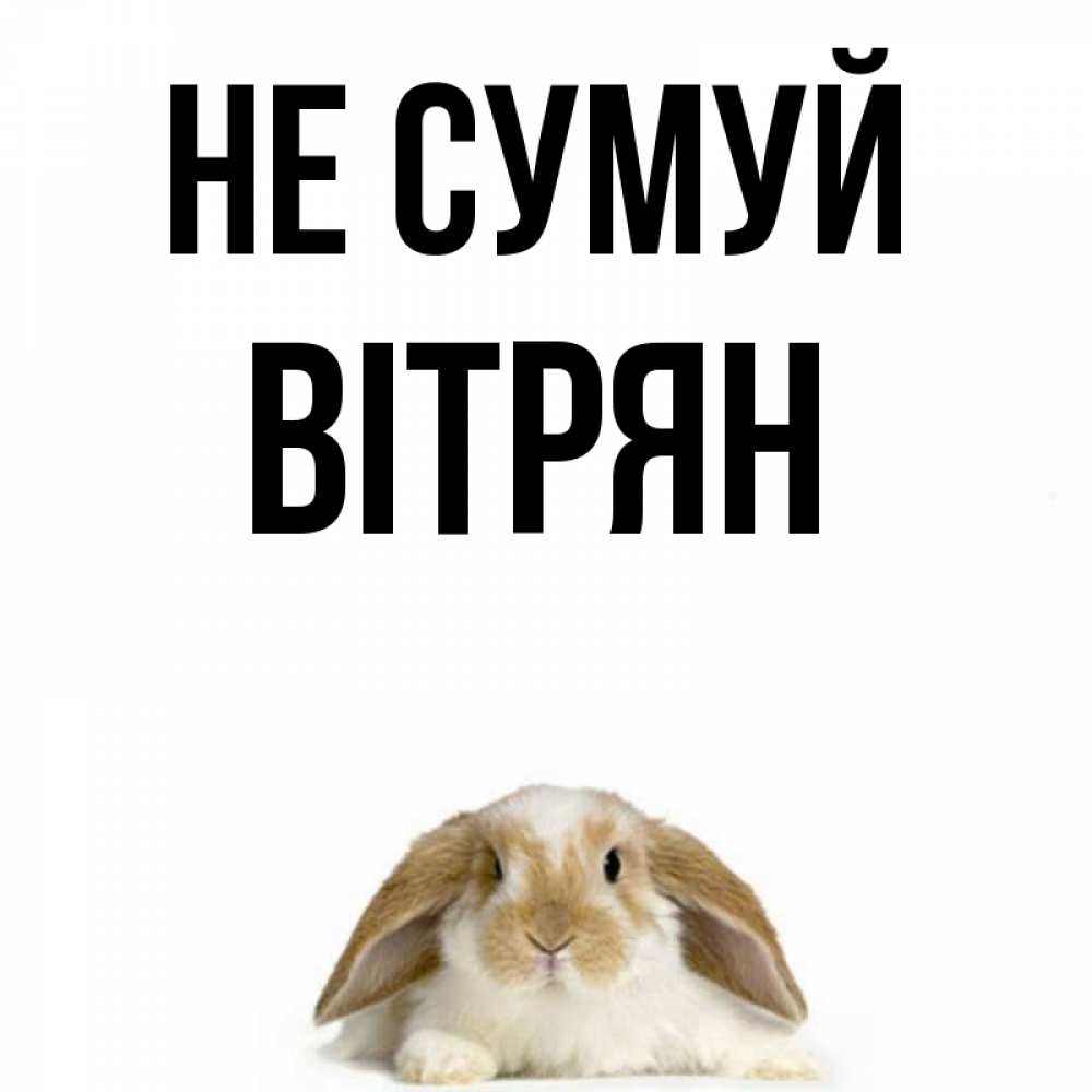 Открытка на каждый день з підписом, Вітрян Не сумуй коричнево белый заяц с большими ушками Прикольна листівка з побажанням онлайн скачати безкоштовно 