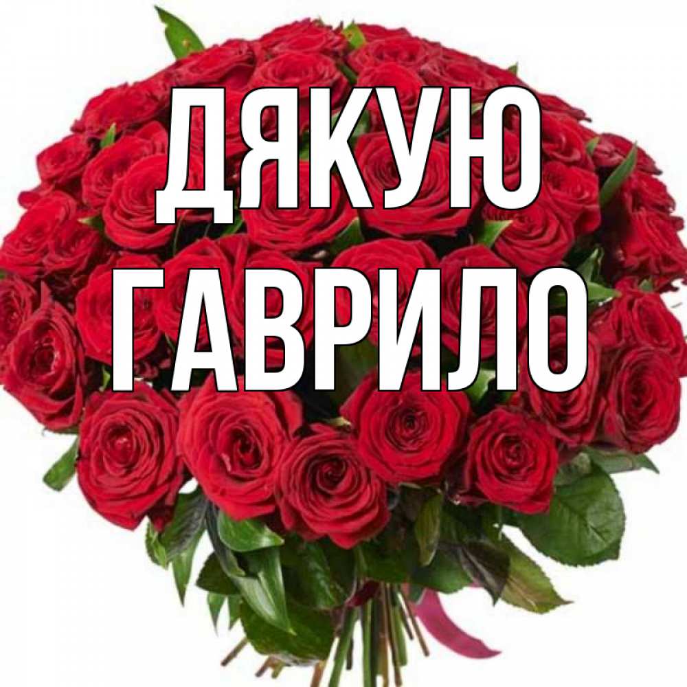 Открытка на каждый день з підписом, Гаврило Дякую букет красных роз Прикольна листівка з побажанням онлайн скачати безкоштовно 