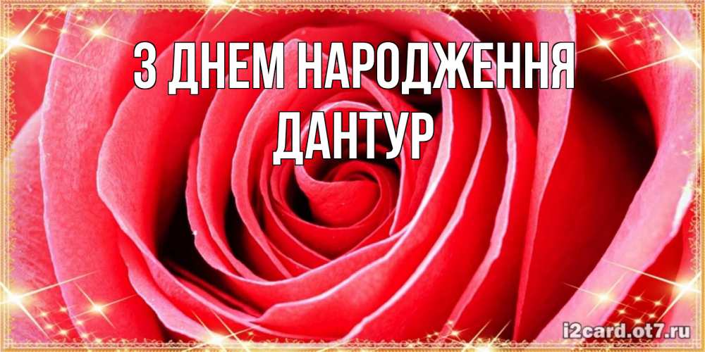Открытка на каждый день з підписом, Дантур З Днем народження розовая роза очень крупный бутон Прикольна листівка з побажанням онлайн скачати безкоштовно 