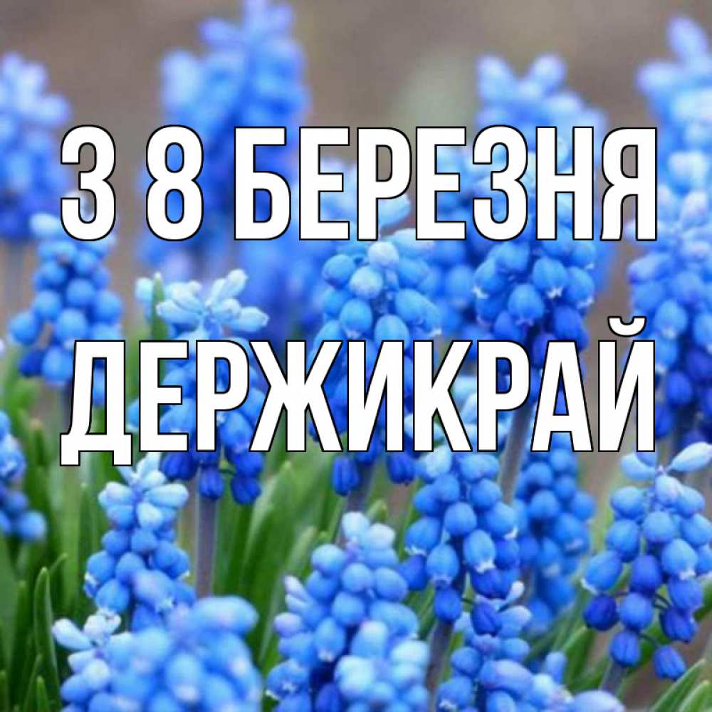 Открытка на каждый день з підписом, Держикрай З 8 БЕРЕЗНЯ Поздравительная открытка для женщин с цветами на праздничную дату Прикольна листівка з побажанням онлайн скачати безкоштовно 