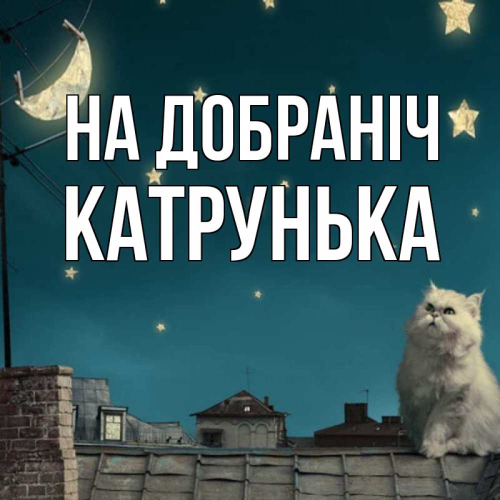 Открытка на каждый день з підписом, Катрунька На добраніч белый кот сидит на крыше Прикольна листівка з побажанням онлайн скачати безкоштовно 