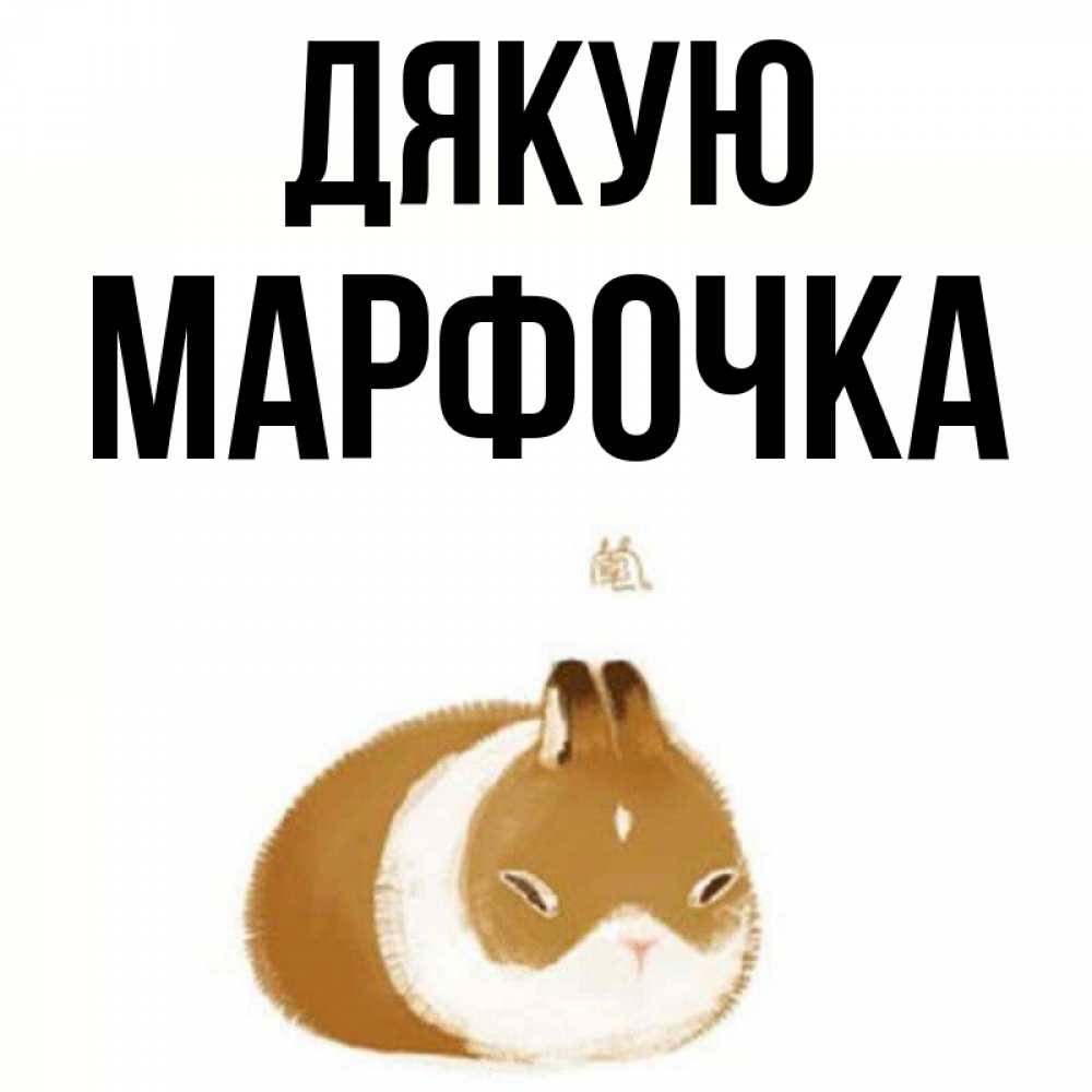 Открытка на каждый день з підписом, Марфочка Дякую коричнево белый домашний питомец Прикольна листівка з побажанням онлайн скачати безкоштовно 