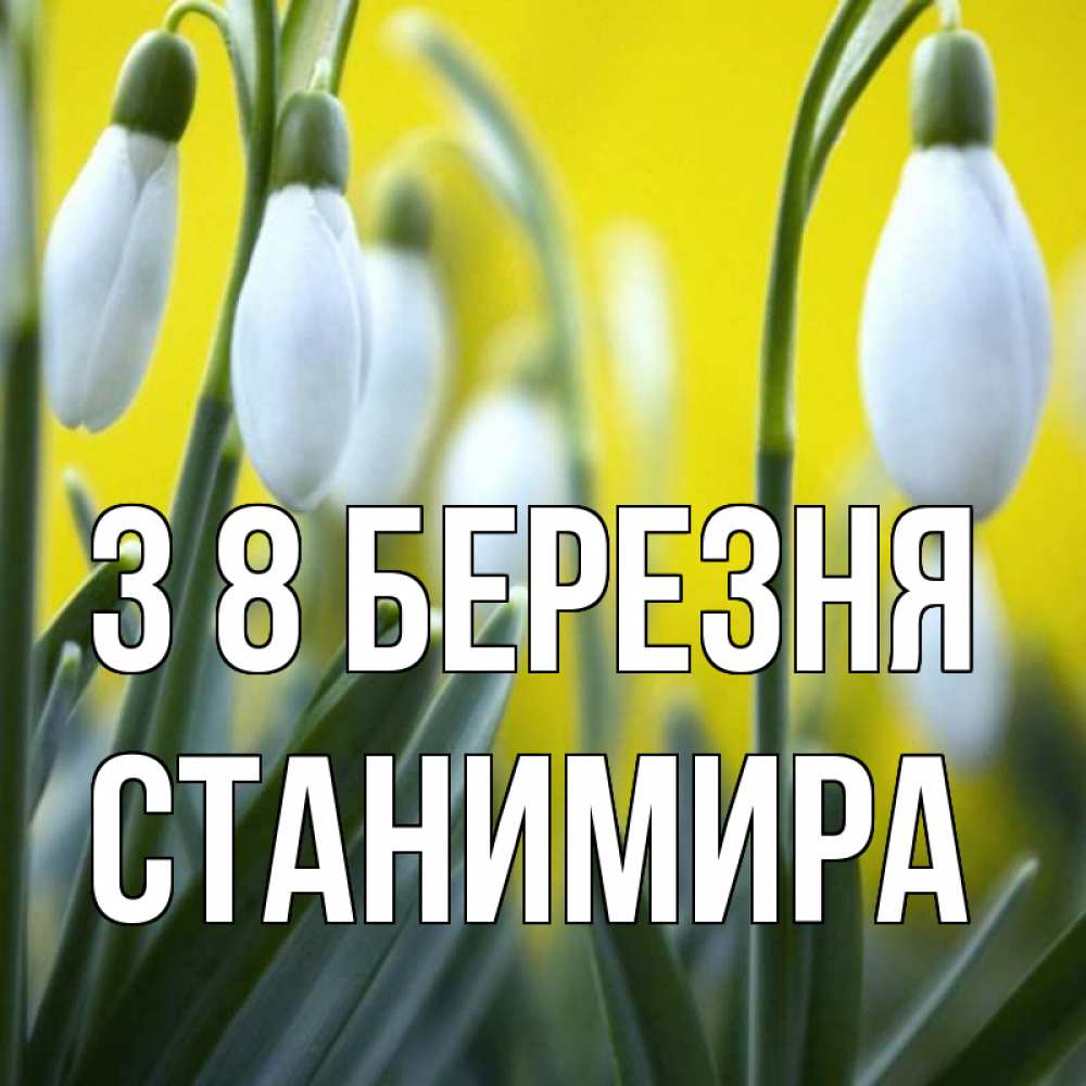 Открытка на каждый день з підписом, Станимира З 8 БЕРЕЗНЯ весенние цветы Прикольна листівка з побажанням онлайн скачати безкоштовно 
