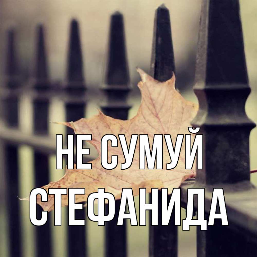 Открытка на каждый день з підписом, Стефанида Не сумуй лист клена Прикольна листівка з побажанням онлайн скачати безкоштовно 