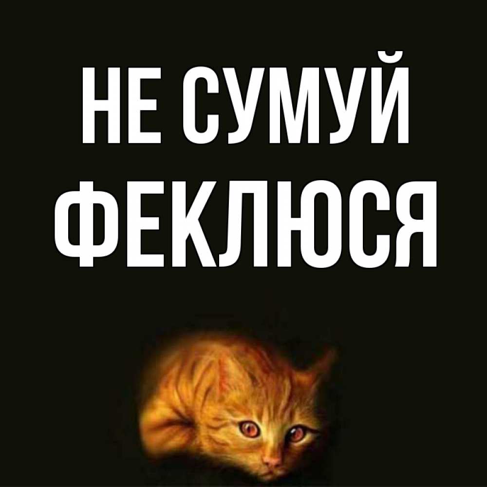 Открытка на каждый день з підписом, Феклюся Не сумуй лежащий кот в темноте Прикольна листівка з побажанням онлайн скачати безкоштовно 