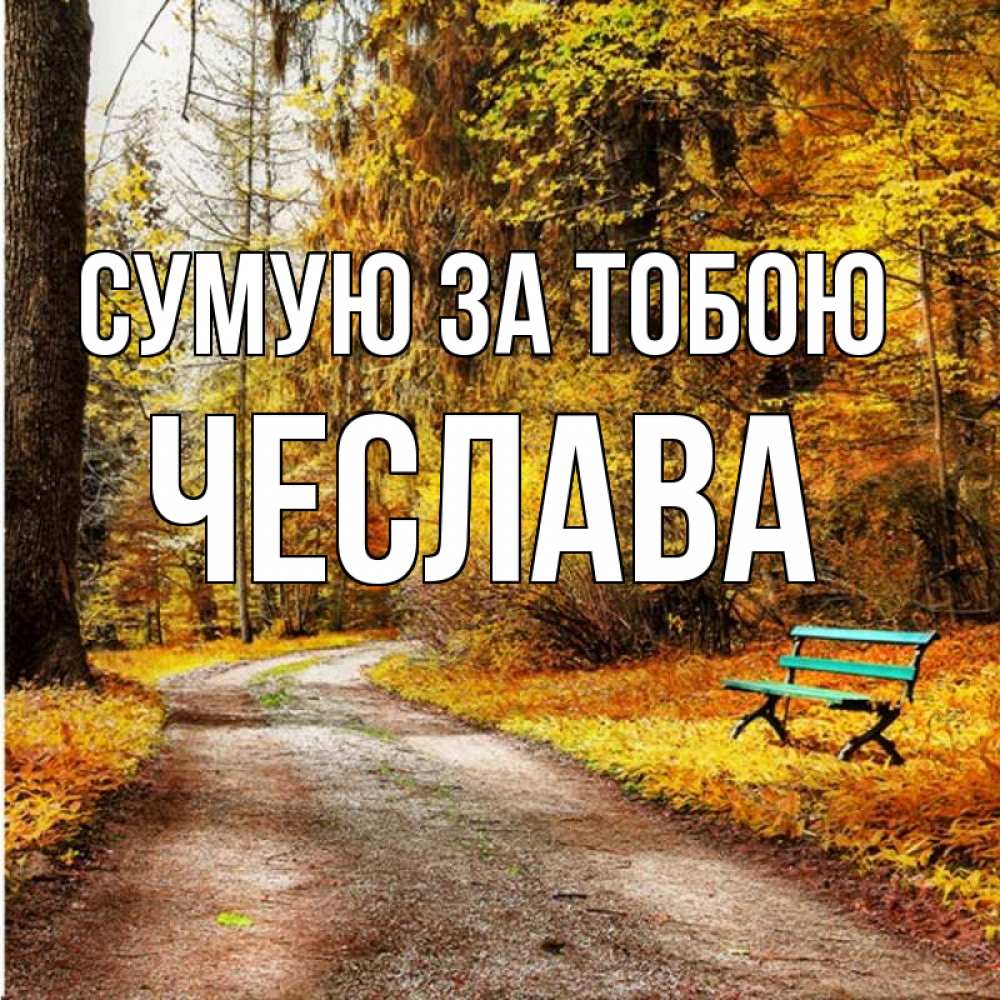 Открытка на каждый день з підписом, Чеслава Сумую за тобою зеленая лавочка и осенний лес Прикольна листівка з побажанням онлайн скачати безкоштовно 