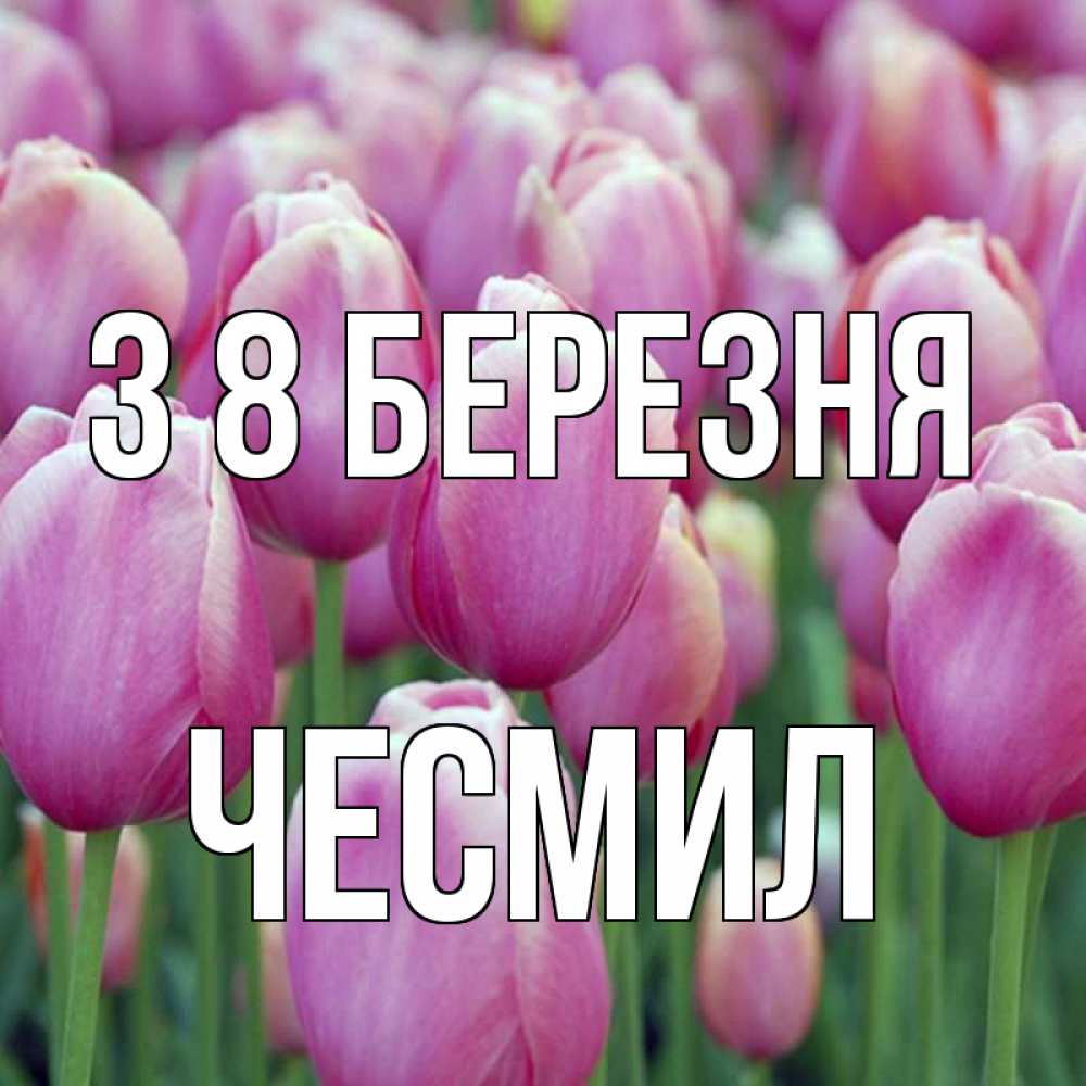 Открытка на каждый день з підписом, Чесмил З 8 БЕРЕЗНЯ на международный женский день 3 Прикольна листівка з побажанням онлайн скачати безкоштовно 