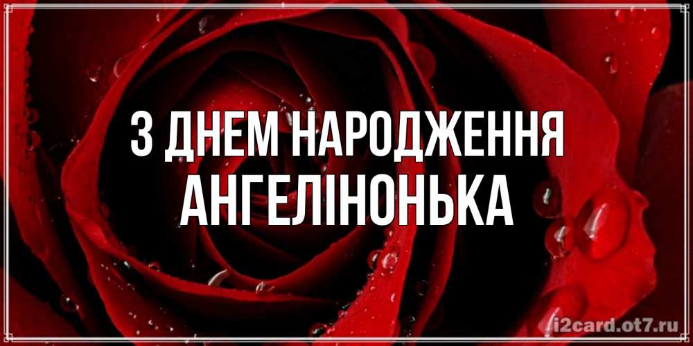 Открытка на каждый день з підписом, Ангелінонька З Днем народження крупная бордовая роза Прикольна листівка з побажанням онлайн скачати безкоштовно 