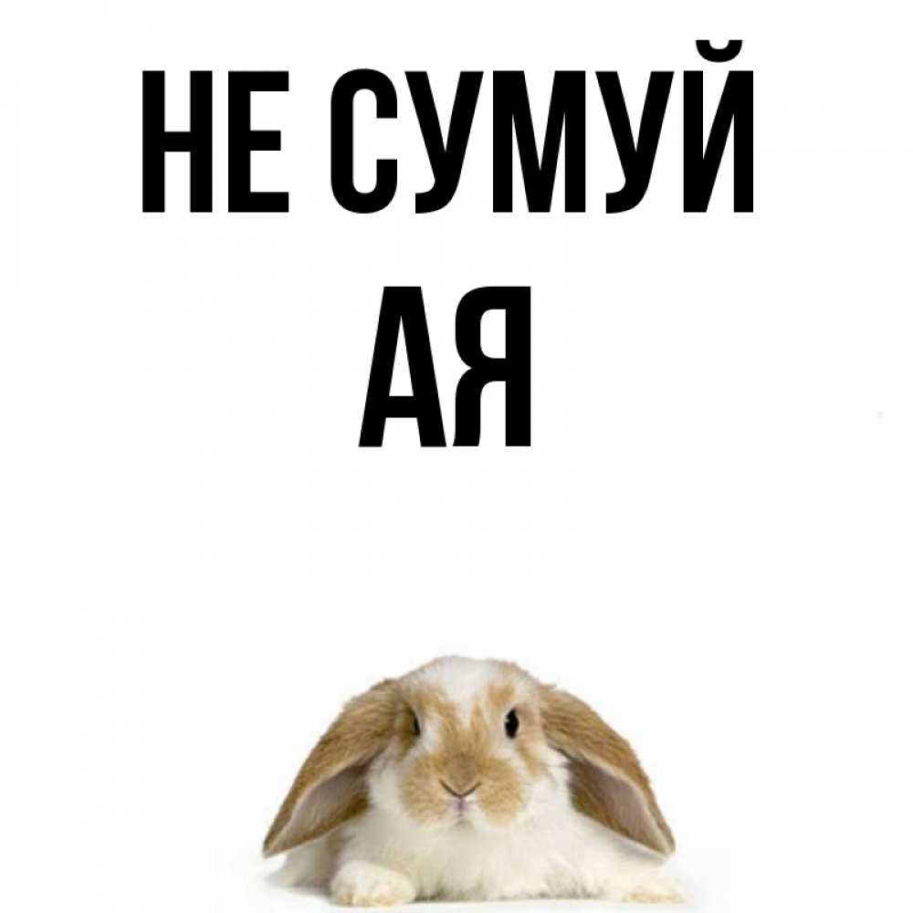 Открытка на каждый день з підписом, Ая Не сумуй коричнево белый заяц с большими ушками Прикольна листівка з побажанням онлайн скачати безкоштовно 