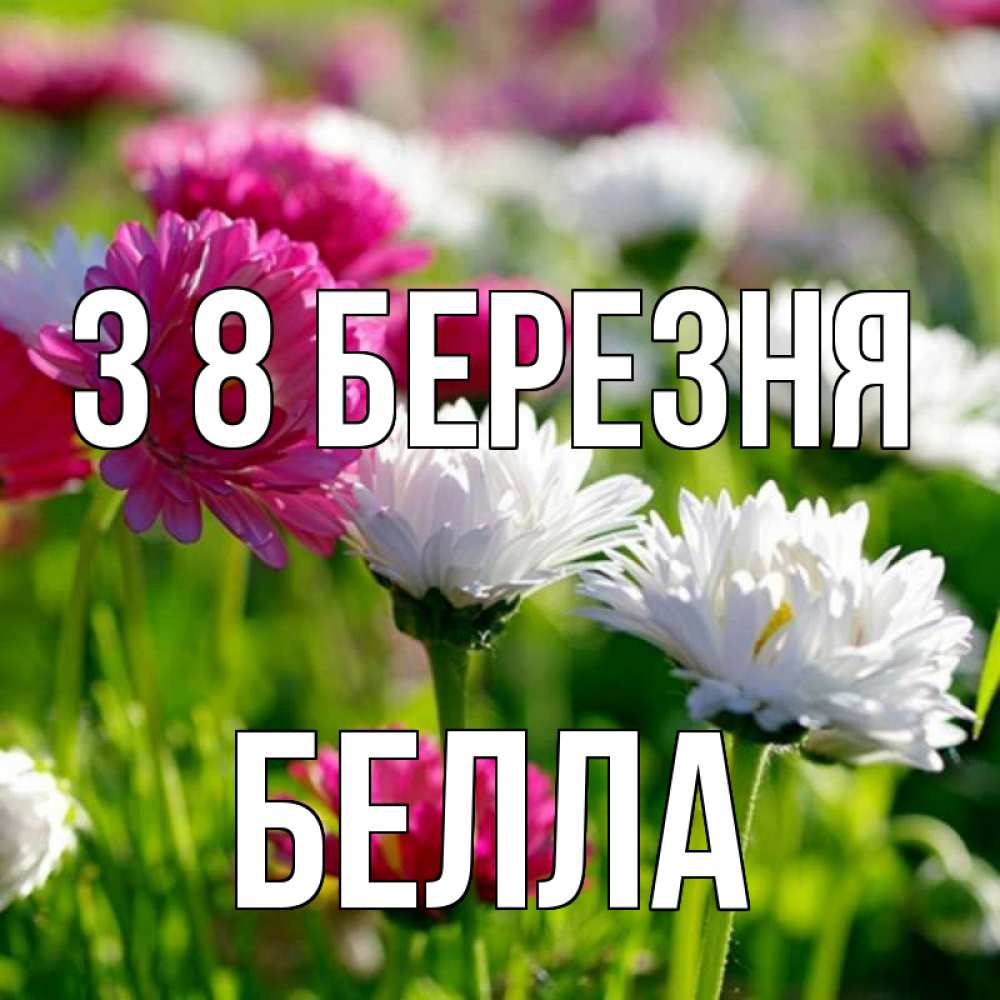 Открытка на каждый день з підписом, Белла З 8 БЕРЕЗНЯ международный женский день 1 Прикольна листівка з побажанням онлайн скачати безкоштовно 
