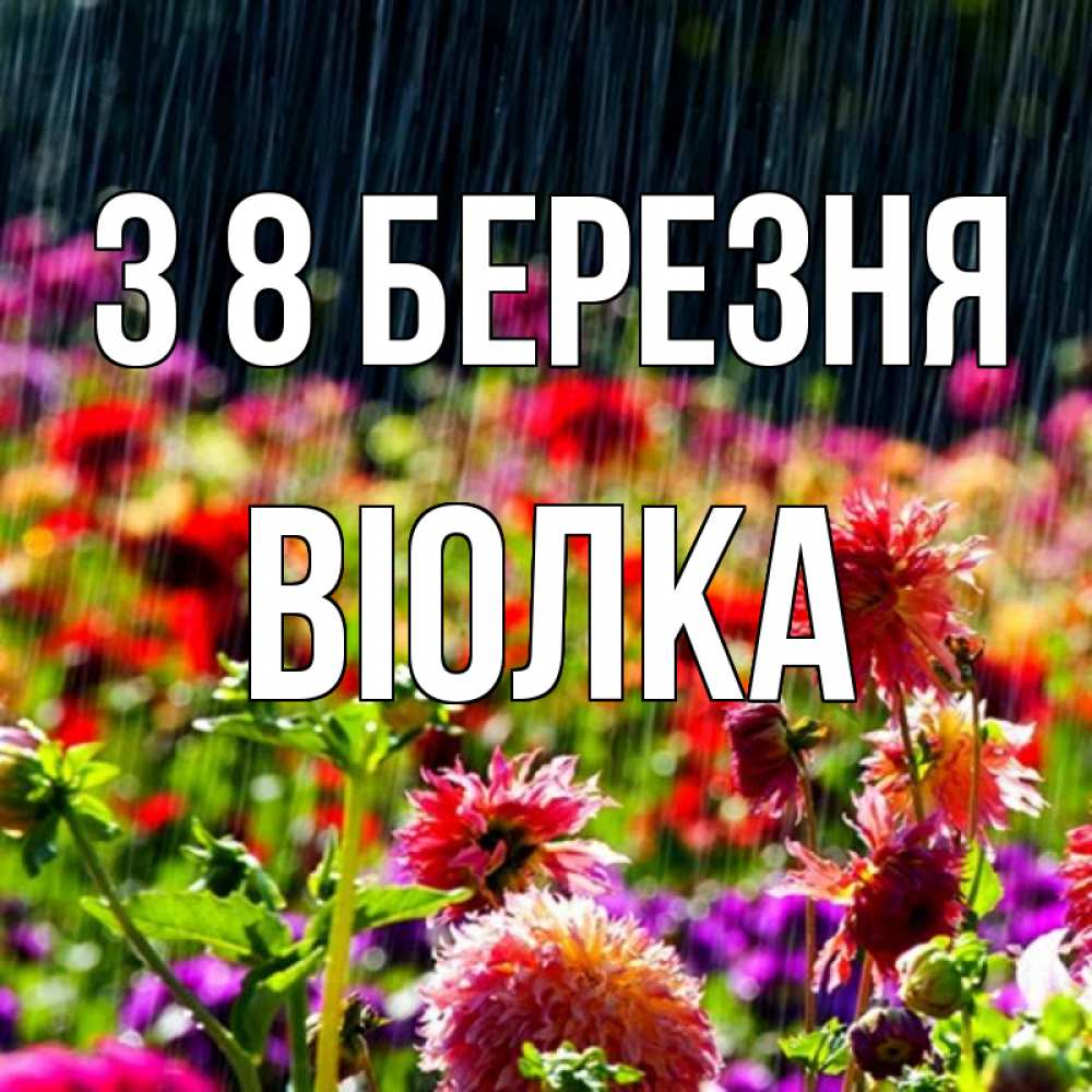 Открытка на каждый день з підписом, Віолка З 8 БЕРЕЗНЯ цветы под дождиком к международному женскому дню Прикольна листівка з побажанням онлайн скачати безкоштовно 