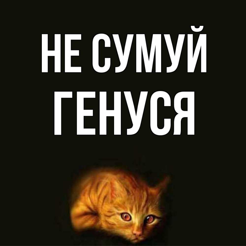 Открытка на каждый день з підписом, Генуся Не сумуй лежащий кот в темноте Прикольна листівка з побажанням онлайн скачати безкоштовно 