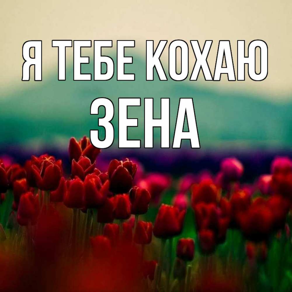 Открытка на каждый день з підписом, Зена Я тебе кохаю тюльпаны 4 Прикольна листівка з побажанням онлайн скачати безкоштовно 
