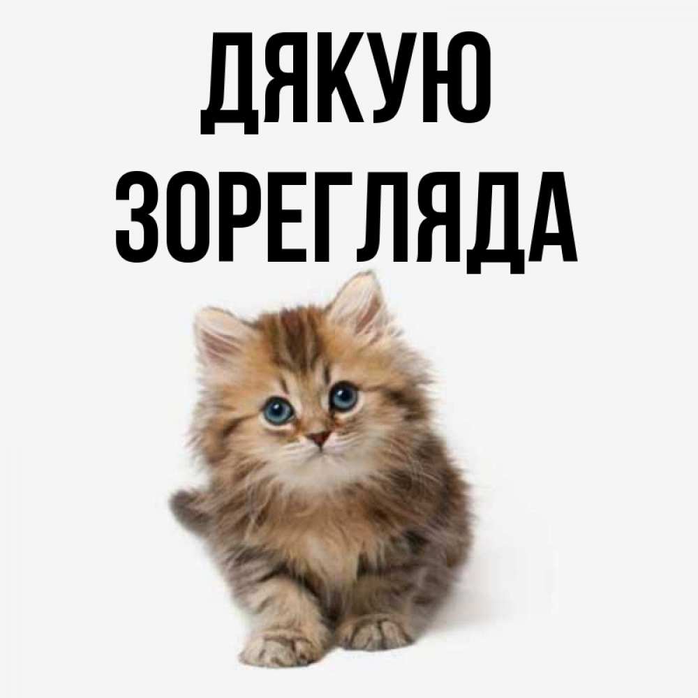 Открытка на каждый день з підписом, Зорегляда Дякую пушистый котик Прикольна листівка з побажанням онлайн скачати безкоштовно 