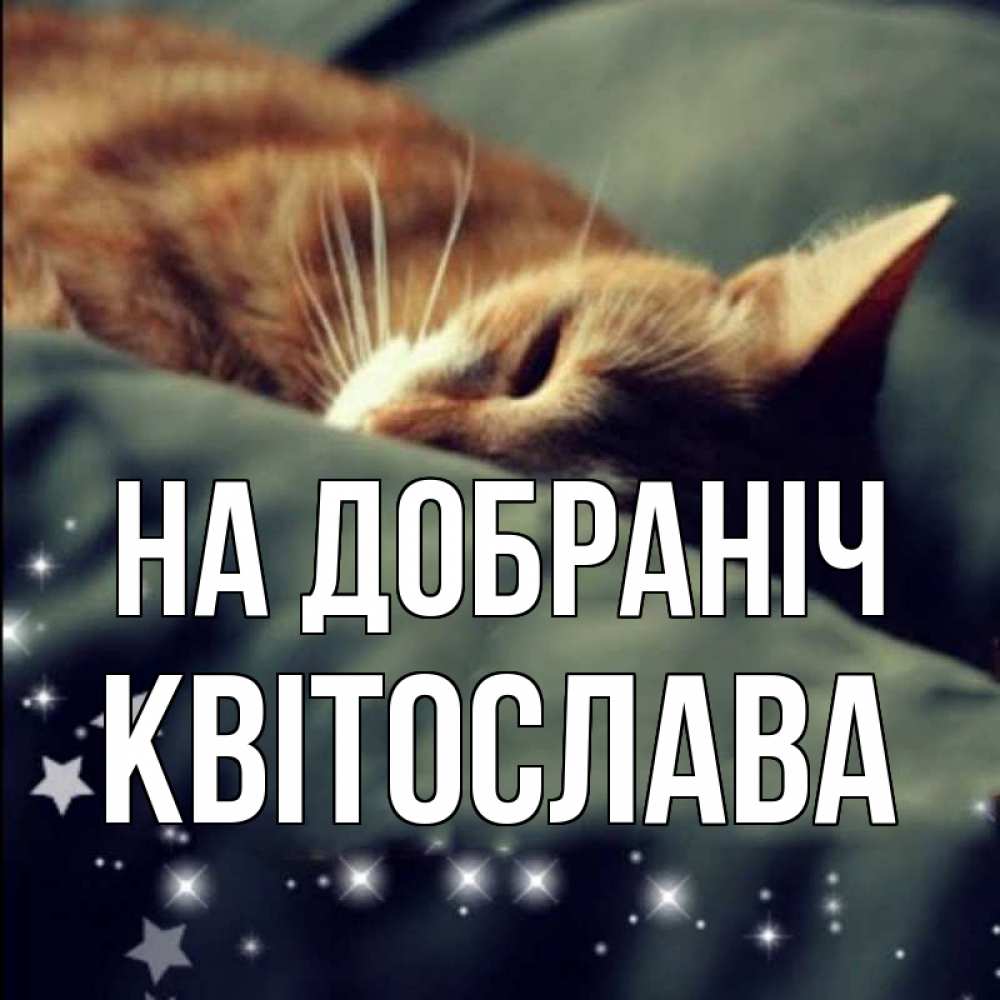Открытка на каждый день з підписом, Квітослава На добраніч кроватка Прикольна листівка з побажанням онлайн скачати безкоштовно 