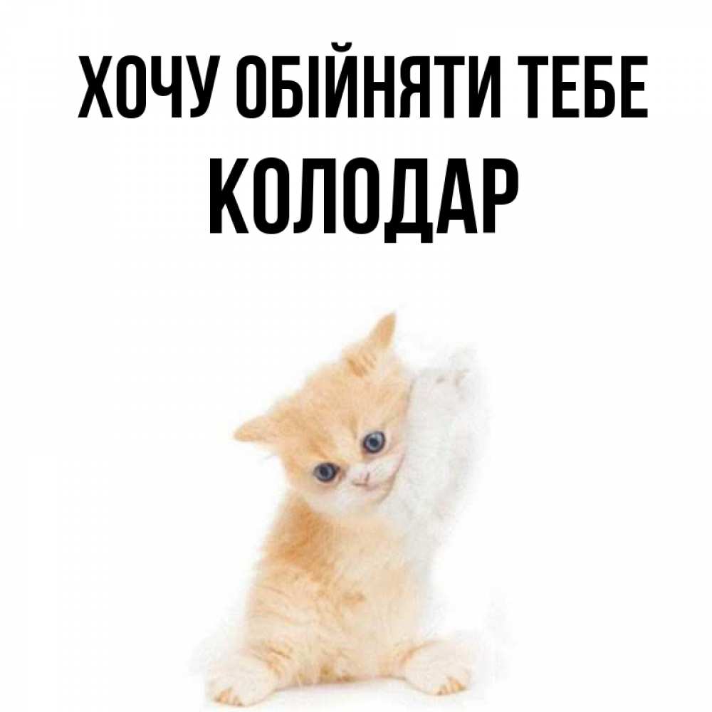 Открытка на каждый день з підписом, Колодар Хочу обійняти тебе я хочу очень скорее обнимаешек Прикольна листівка з побажанням онлайн скачати безкоштовно 