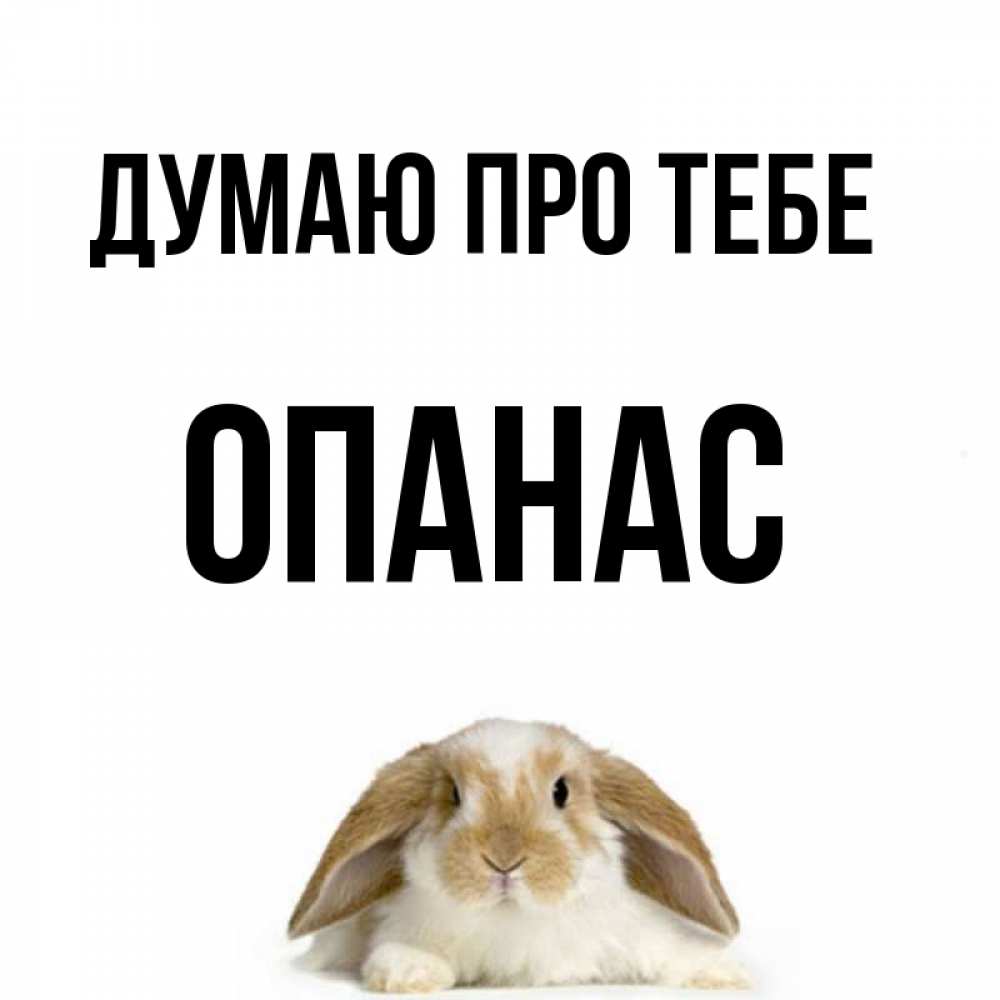 Открытка на каждый день з підписом, Опанас Думаю про тебе подписать своими руками онлайн Прикольна листівка з побажанням онлайн скачати безкоштовно 
