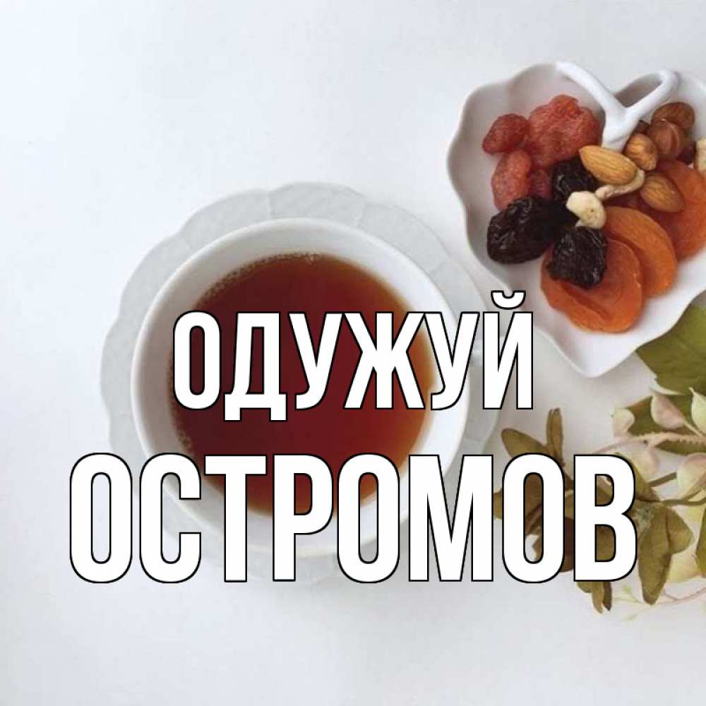 Открытка на каждый день з підписом, Остромов Одужуй неизвестные растения Прикольна листівка з побажанням онлайн скачати безкоштовно 