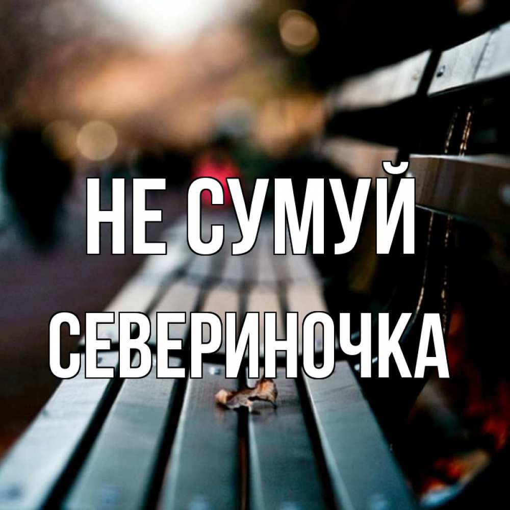 Открытка на каждый день з підписом, Севериночка Не сумуй размытый фон Прикольна листівка з побажанням онлайн скачати безкоштовно 