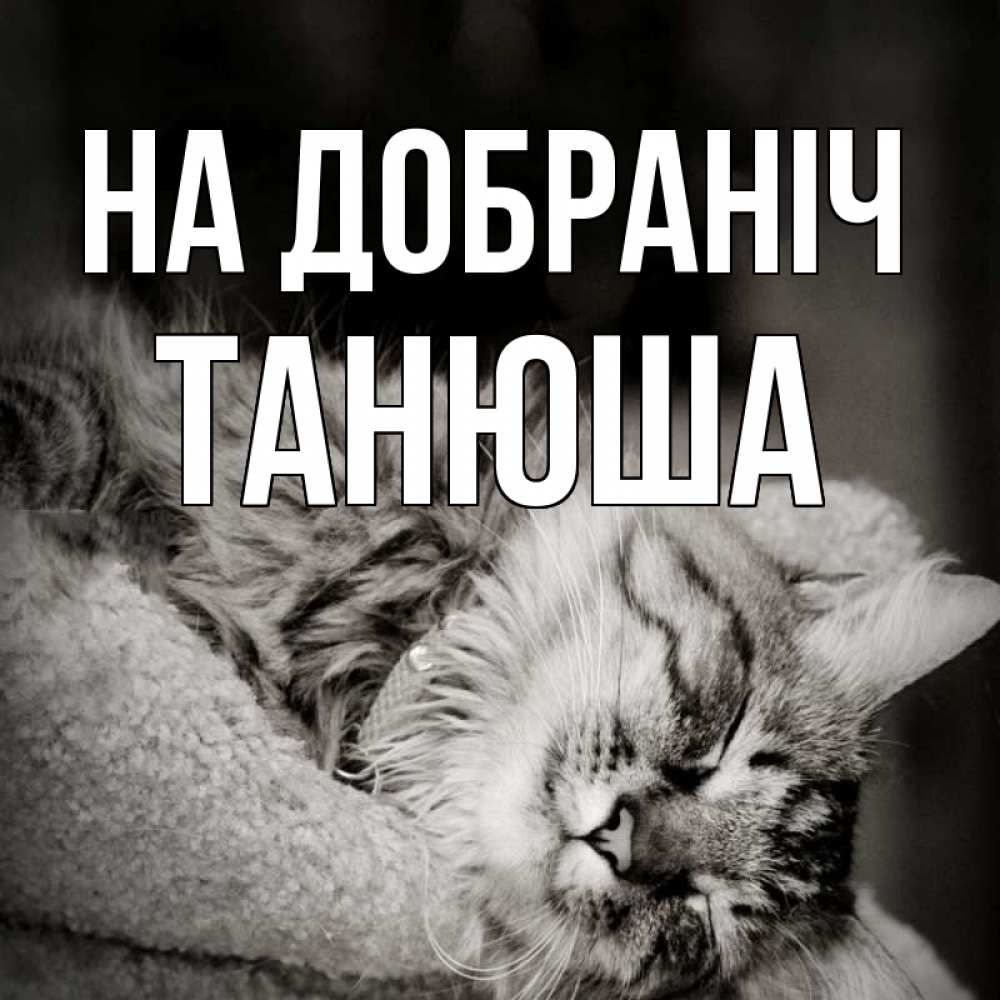 Открытка на каждый день з підписом, Танюша На добраніч котярик пушистый Прикольна листівка з побажанням онлайн скачати безкоштовно 