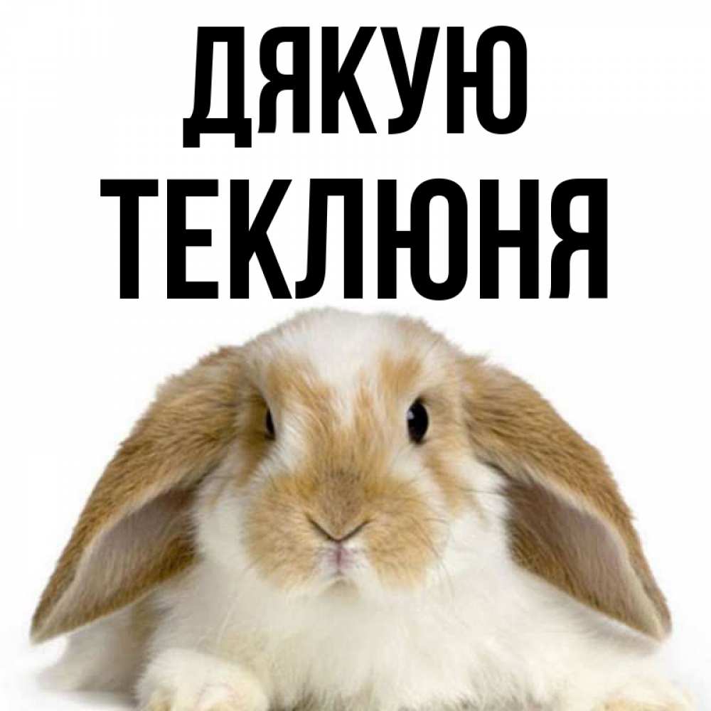 Открытка на каждый день з підписом, Теклюня Дякую коричнево белый заяц Прикольна листівка з побажанням онлайн скачати безкоштовно 