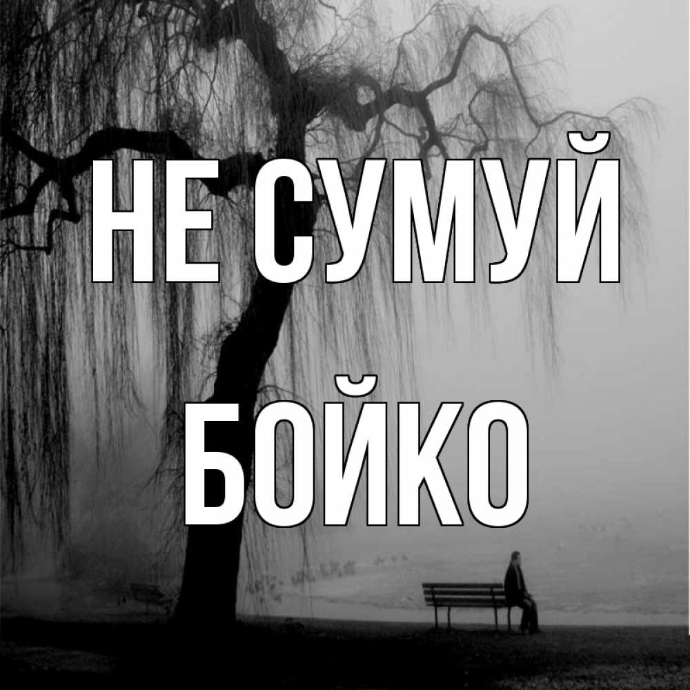 Открытка на каждый день з підписом, Бойко Не сумуй висящие ветки дерева и лавочка под деревом Прикольна листівка з побажанням онлайн скачати безкоштовно 