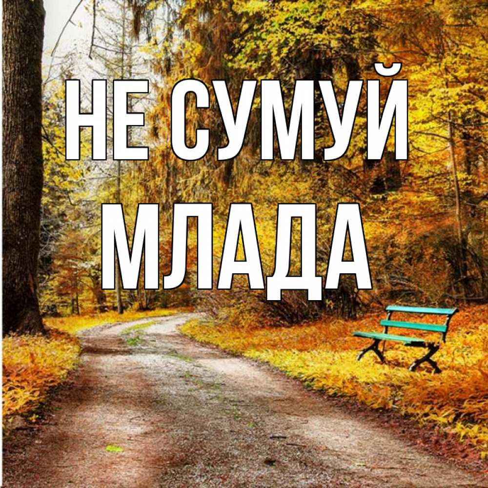 Открытка на каждый день з підписом, Млада Не сумуй зеленая лавочка Прикольна листівка з побажанням онлайн скачати безкоштовно 
