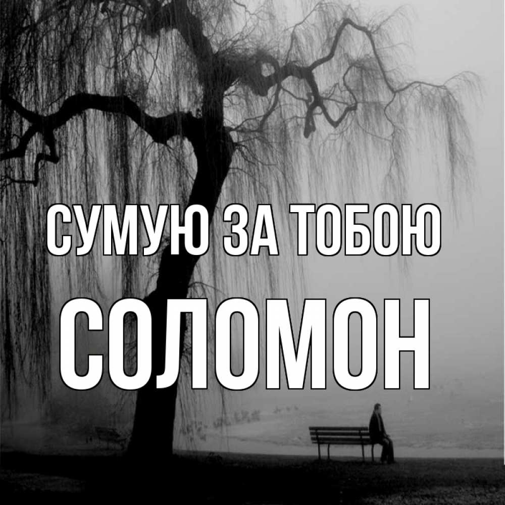 Открытка на каждый день з підписом, Соломон Сумую за тобою лавочка под деревом я жду тебя Прикольна листівка з побажанням онлайн скачати безкоштовно 