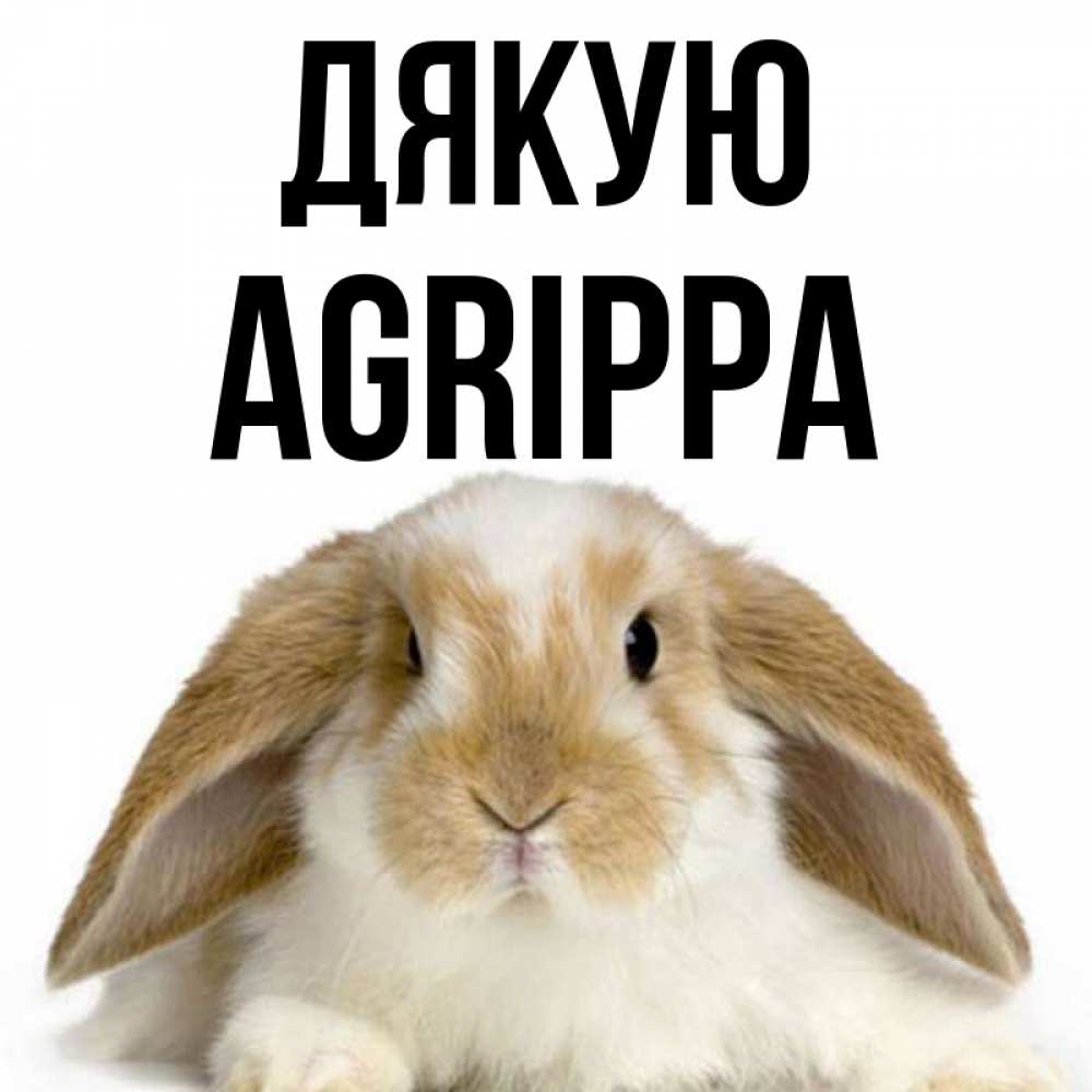 Открытка на каждый день з підписом, Agrippa Дякую коричнево белый заяц Прикольна листівка з побажанням онлайн скачати безкоштовно 