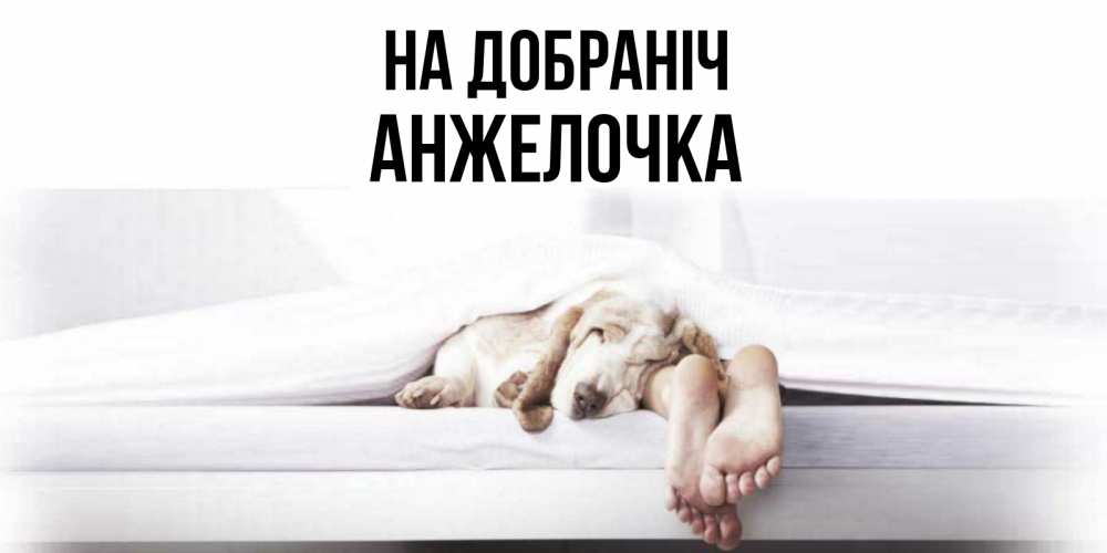 Открытка на каждый день з підписом, Анжелочка На добраніч кровать с собакой пожелание сладких снов и спокойной ночи Прикольна листівка з побажанням онлайн скачати безкоштовно 