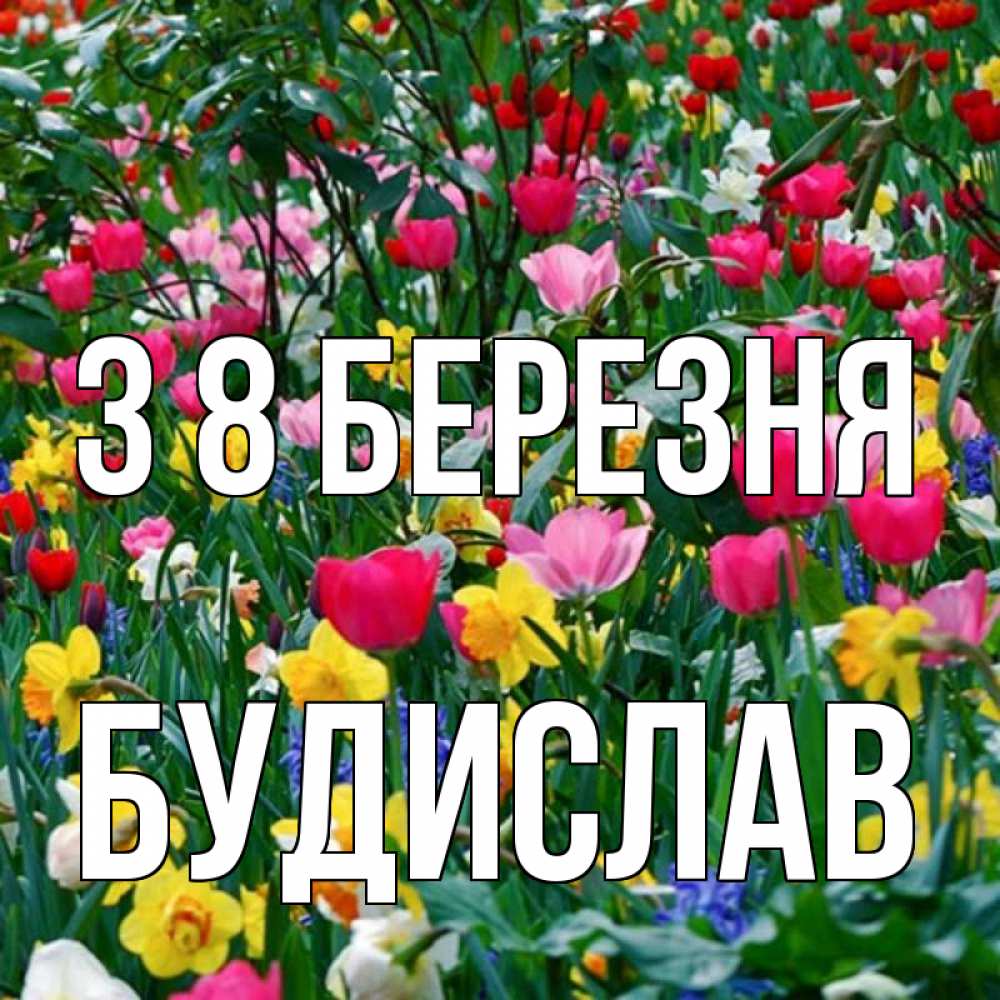 Открытка на каждый день з підписом, Будислав З 8 БЕРЕЗНЯ с международным женским днем поздравления для женщины Прикольна листівка з побажанням онлайн скачати безкоштовно 