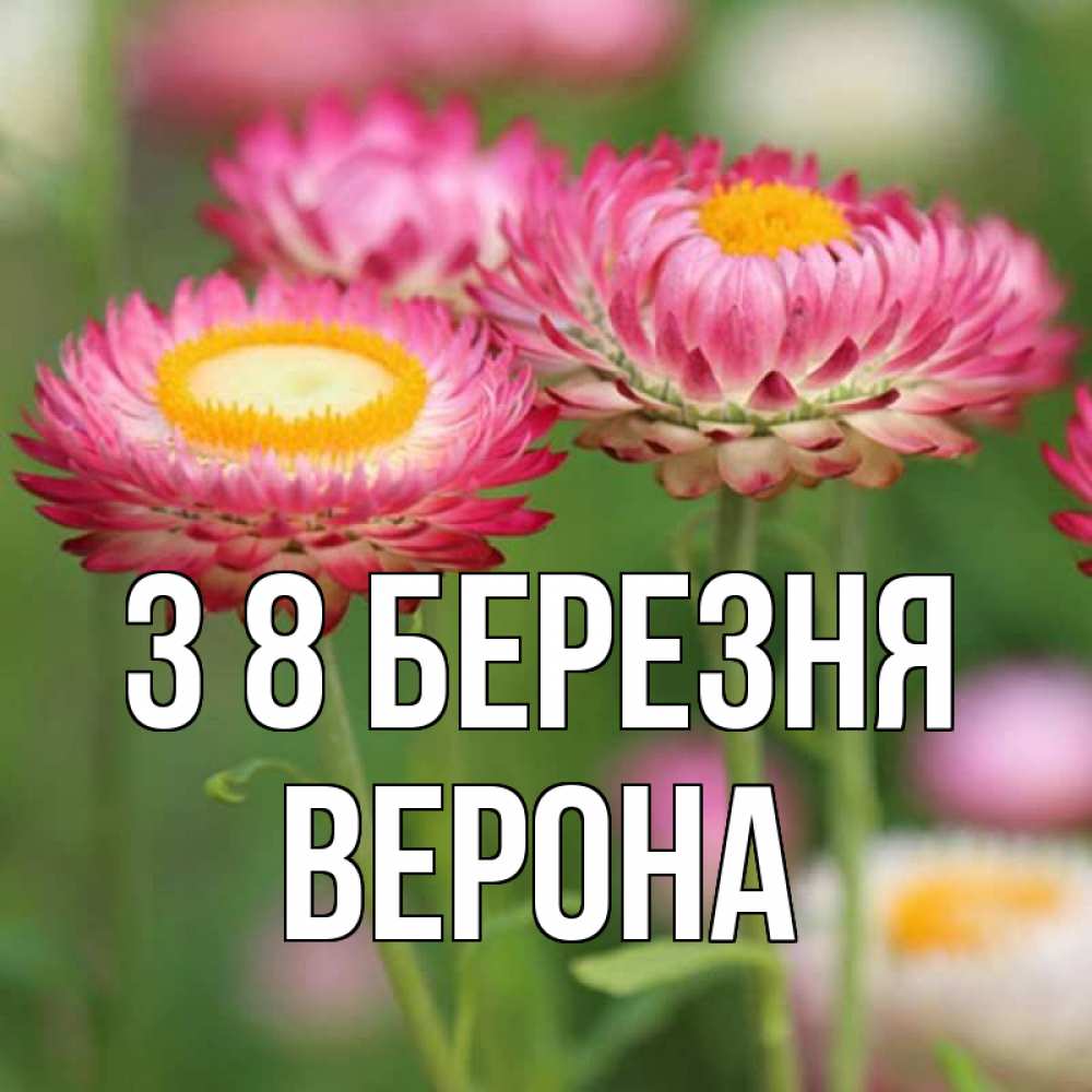 Открытка на каждый день з підписом, Верона З 8 БЕРЕЗНЯ подарок на международный женский день Прикольна листівка з побажанням онлайн скачати безкоштовно 