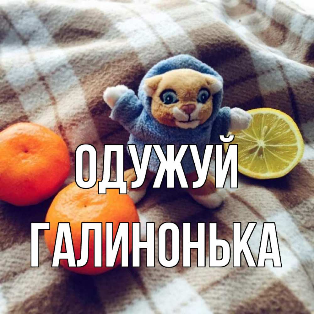 Открытка на каждый день з підписом, Галинонька Одужуй вот тебе апельсинка и лимон Прикольна листівка з побажанням онлайн скачати безкоштовно 