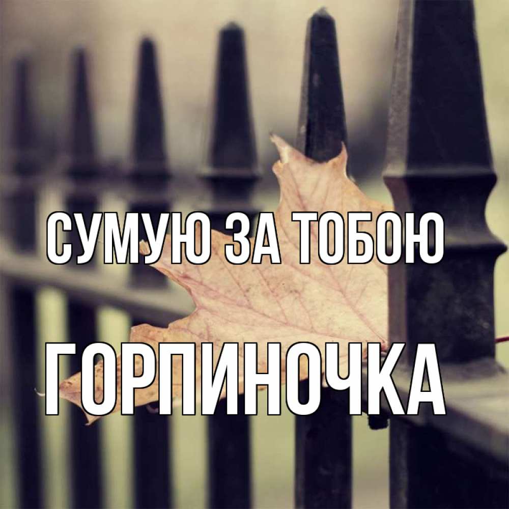 Открытка на каждый день з підписом, Горпиночка Сумую за тобою очень скучно Прикольна листівка з побажанням онлайн скачати безкоштовно 