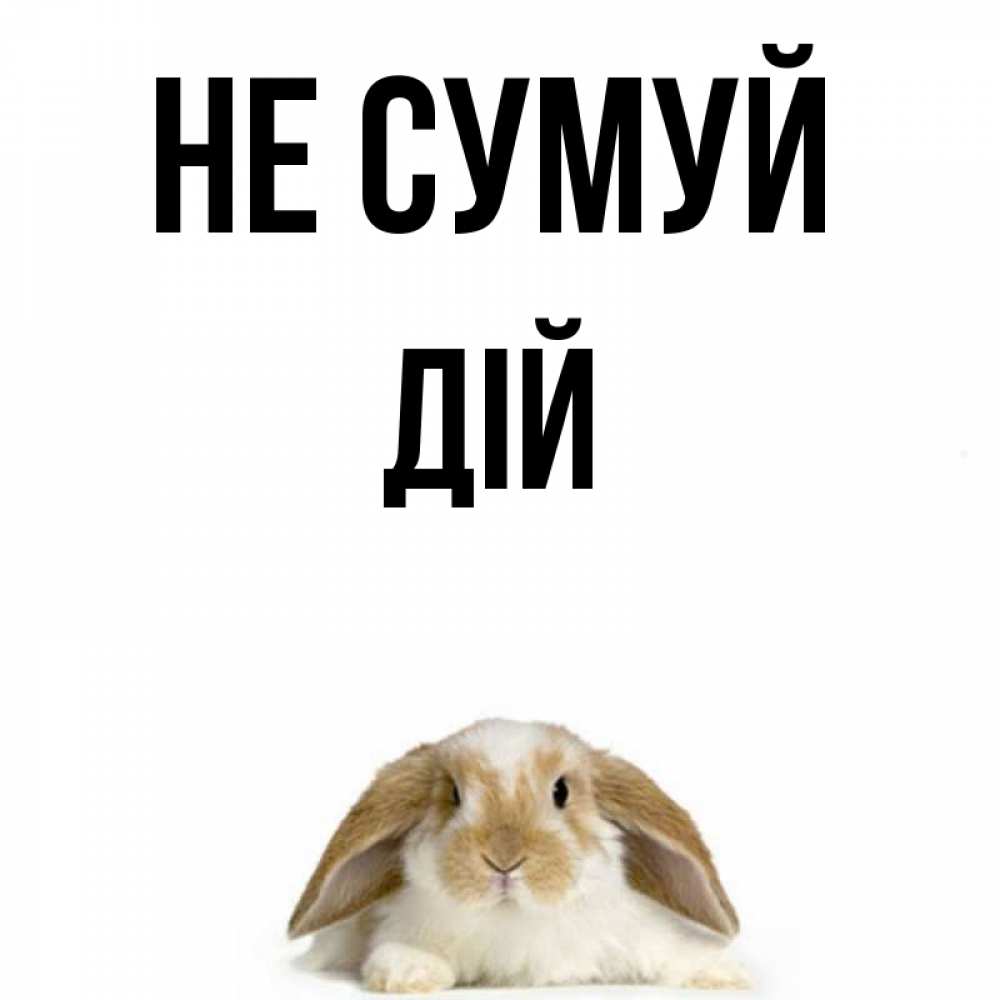 Открытка на каждый день з підписом, Дій Не сумуй коричнево белый заяц с большими ушками Прикольна листівка з побажанням онлайн скачати безкоштовно 